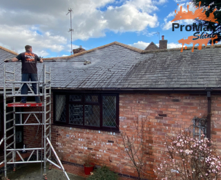 Roof Cleaning