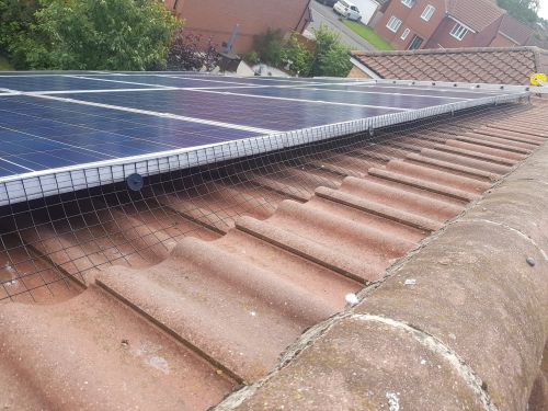 Click Here To Enlarge This Photo Of Solar Panel Bird Proofing