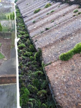 Click Here To Enlarge This Photo Of Gutter Cleaning