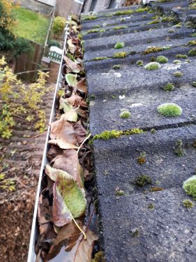 Click Here To Enlarge This Photo Of Gutter Cleaning