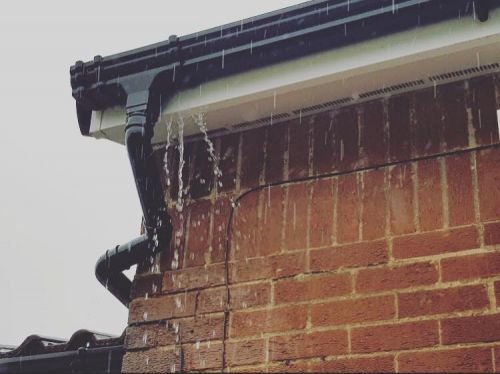 Click Here To Enlarge This Photo Of Gutter Cleaning