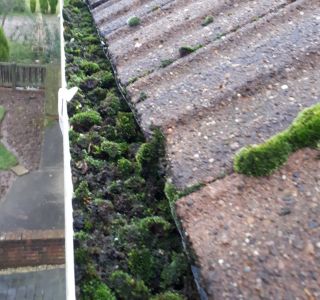 Gutter Cleaning