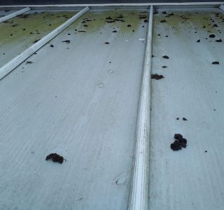 Conservatory Cleaning
