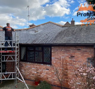 Roof Cleaning
