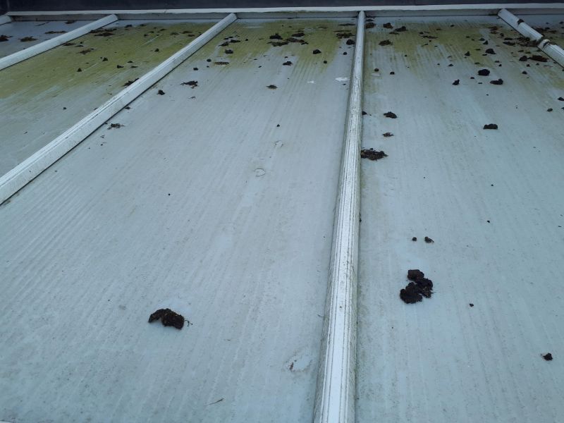Difficult to access Conservatory clean in clipstone, Mansfield: Swipe To View More Images