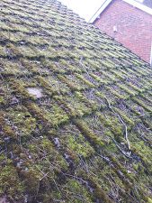Moss has covered this roof, so they have called out the leading local roof cleaner. if you need a roof cleaner contact us for your free quote: Swipe To View More Images