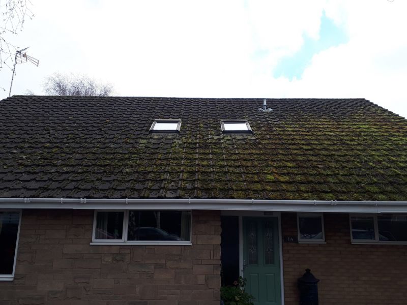 another view of this moss filled roof prior to us clearing the moss. : Swipe To View More Images