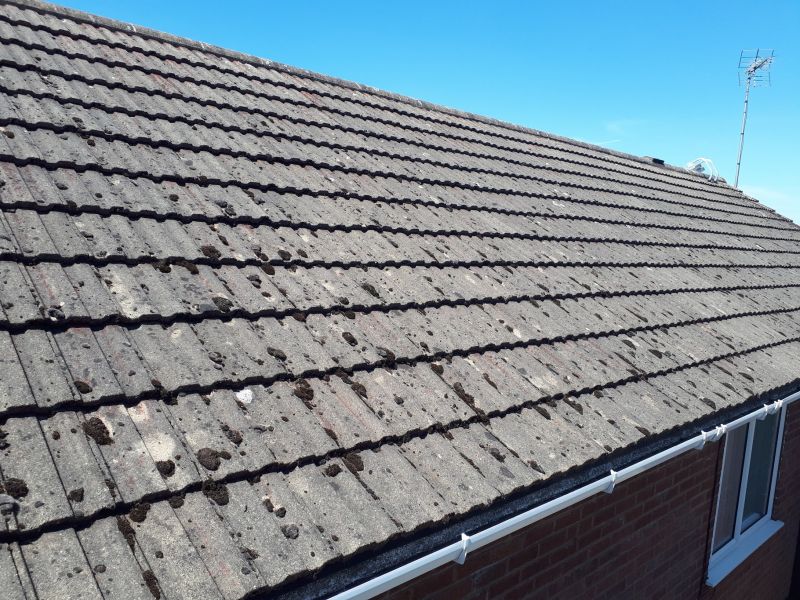 Here is a roof we manually scraped all the moss from & applied a Biocidal wash. The next picture will be 12months later after all the biofilm has been broken down and washed away naturally. PICTURE 1 of 2: Swipe To View More Images