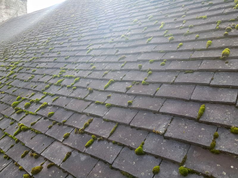 here is a closer look at this Roof moss removal job in Nottingham: Swipe To View More Images