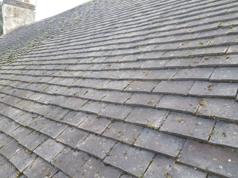 Part way through the Moss removal service. : Swipe To View More Images