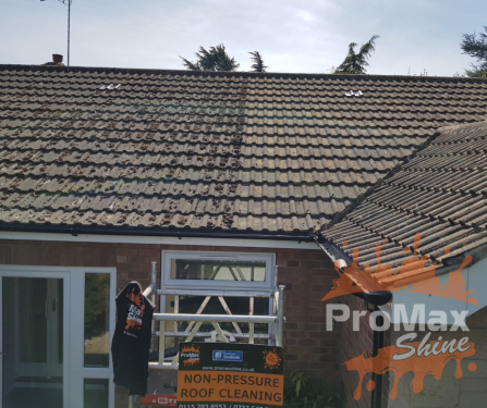 Click Here To Enlarge This Photo Of Roof moss removal and treatment Wollaton