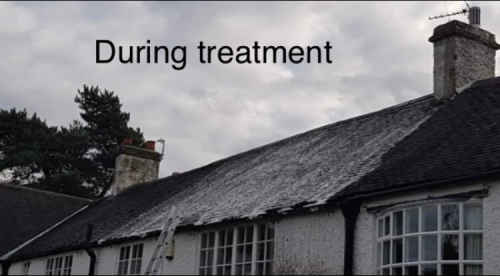 Click Here To Enlarge This Photo Of Roof Moss Removal & Treatment