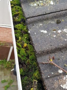 Click Here To Enlarge This Photo Of Why is gutter cleaning important?