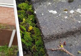Why is gutter cleaning important?