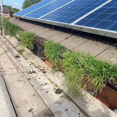 Gutter Cleaning