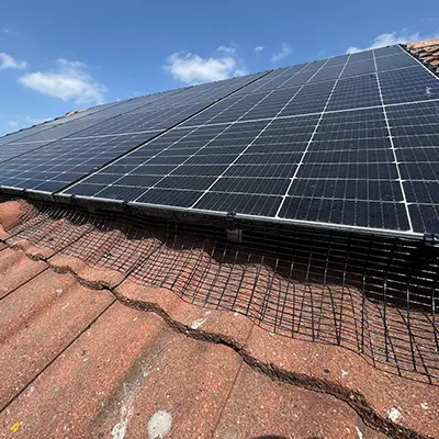 Solar Panel Bird Proofing