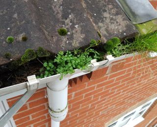 Once the downpipe has blocked the water will find another way out, these gutters were in need of a professional with a ladder.: Click Here To View Larger Image