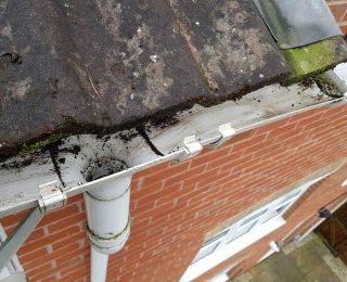 Downpipe unblocked and gutters cleaned out on this property in Hucknall: Click Here To View Larger Image