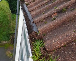 The grass inside the gutter had rooted in very well & had compacted tightly which allowed no water to enter the gutter.: Click Here To View Larger Image