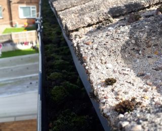 Full gutter overflowing with moss in Rainworth: Click Here To View Larger Image