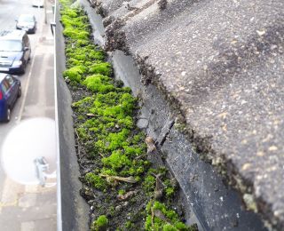 Gutter cleaning in Mansfield: Click Here To View Larger Image