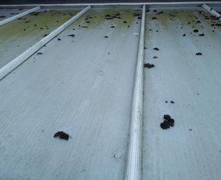 Difficult to access Conservatory clean in clipstone, Mansfield: Click Here To View Larger Image