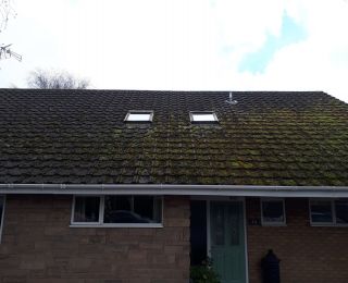 another view of this moss filled roof prior to us clearing the moss. : Click Here To View Larger Image