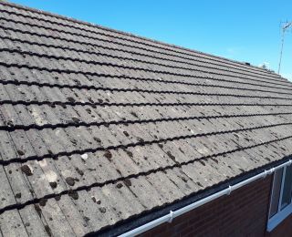 Here is a roof we manually scraped all the moss from & applied a Biocidal wash. The next picture will be 12months later after all the biofilm has been broken down and washed away naturally. PICTURE 1 of 2: Click Here To View Larger Image