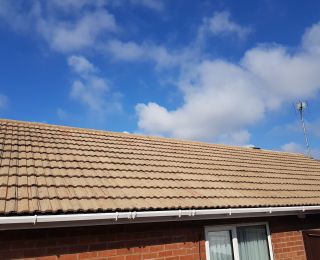 Here is the Roof we treated 12months ago, a Huge transformation! PICTURE 2 of 2: Click Here To View Larger Image