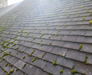 here is a closer look at this Roof moss removal job in Nottingham: Click Here To View Larger Image