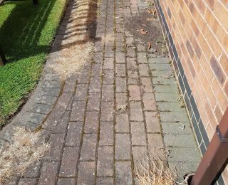 Block paving is prone to becoming very dirty looking and full of weeds and in this case the grass had taken over the driveway. check out the next picture to see the driveway cleaning in Underwood: Click Here To View Larger Image