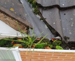 Blocked gutter Newstead, if you are looking for a gutter cleaner then give us a call or message on 07375477884: Click Here To View Larger Image
