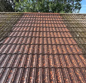 Roof <br />Cleaning