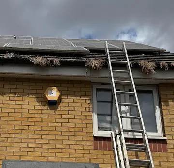 Gutter <br />Cleaning