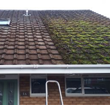 Roof <br />Cleaning